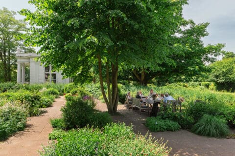 High tea in pluktuin