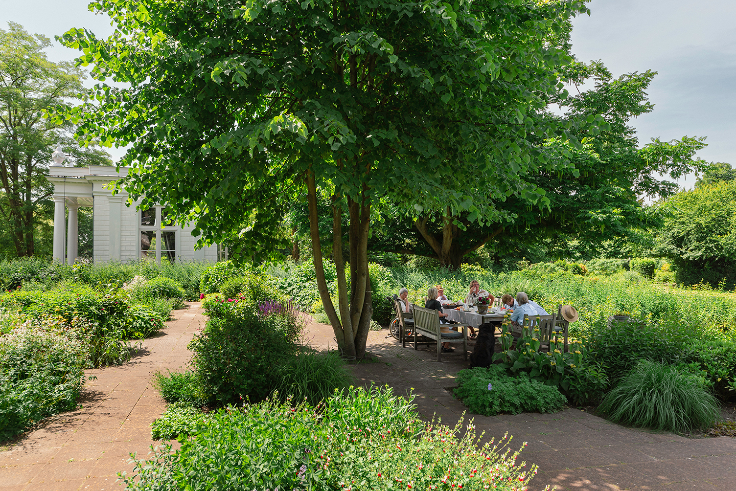 High tea in pluktuin